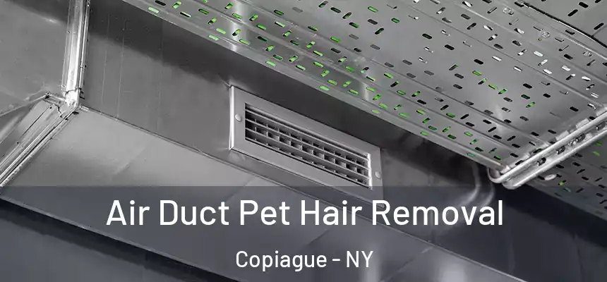  Air Duct Pet Hair Removal Copiague - NY