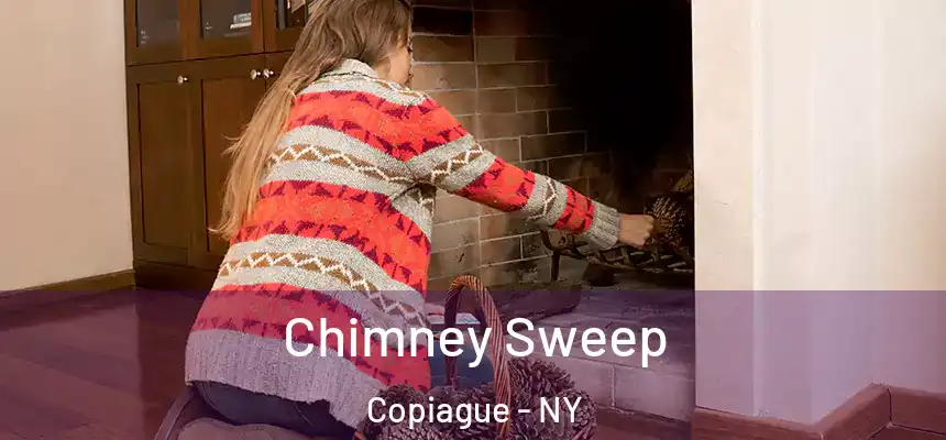 Chimney Sweep Copiague - NY