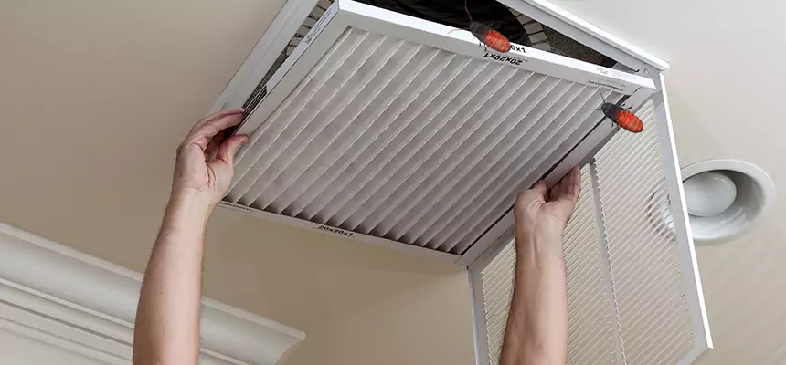 Preventive Cockroach-Proofing for Ducts in Copiague