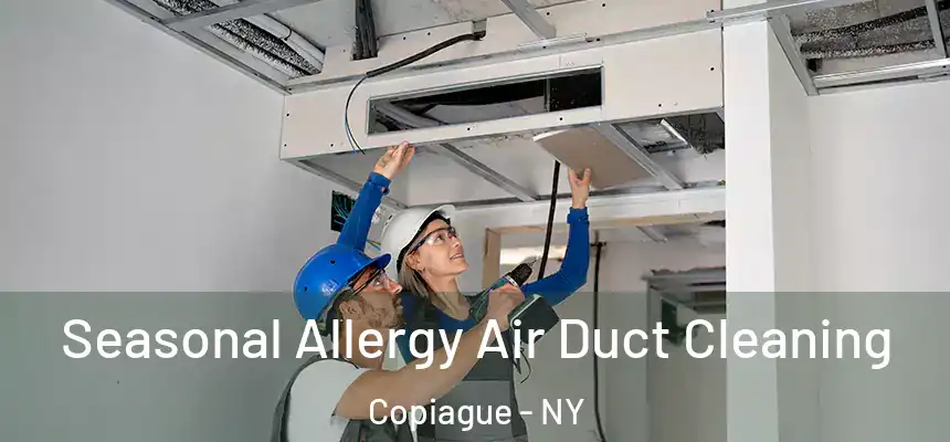  Seasonal Allergy Air Duct Cleaning Copiague - NY