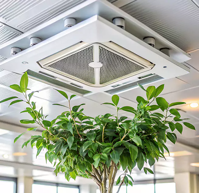 Why Homeowners & Businesses Trust Us in Copiague, NY